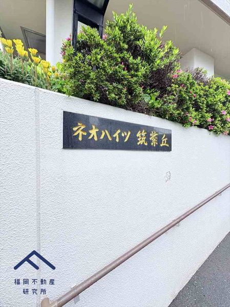 ネオハイツ筑紫丘のその他