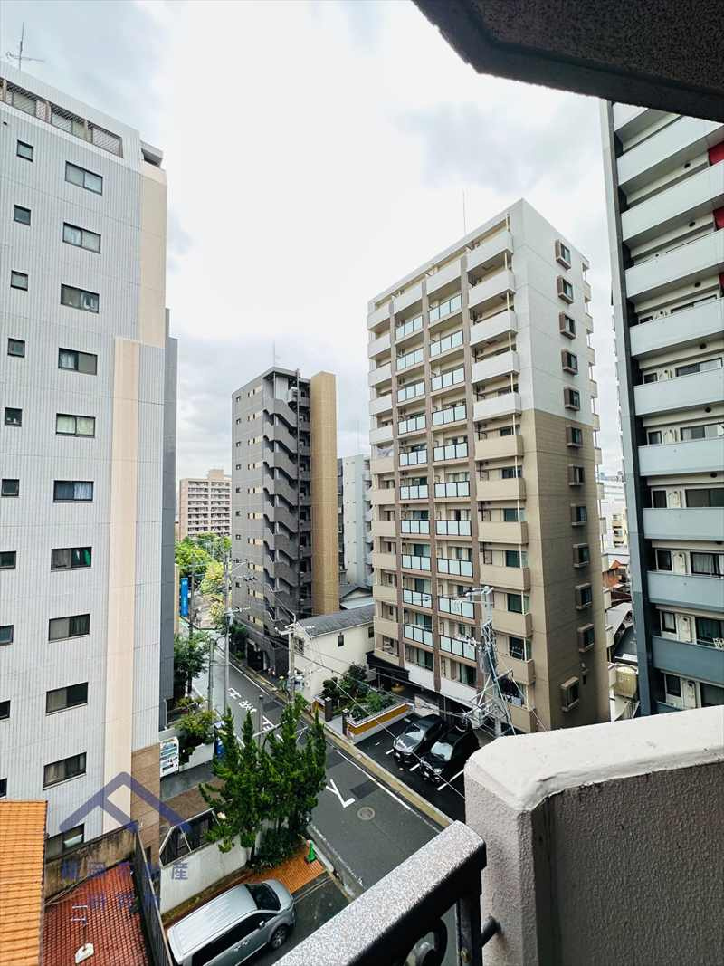 展望