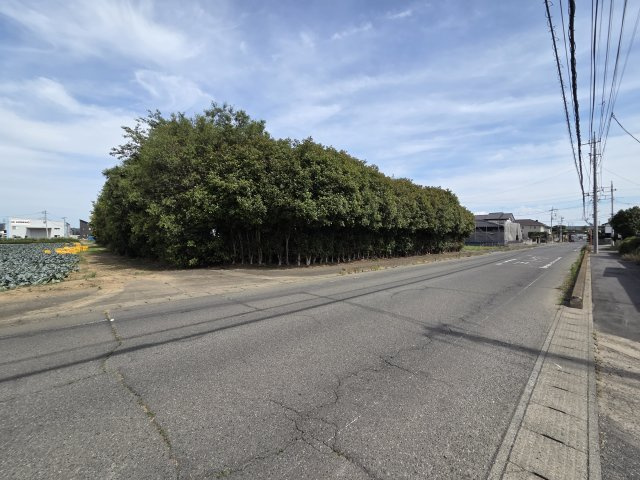 西側前面道路幅員約12.5ｍと広々！