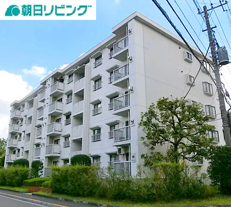 外観：313004779117