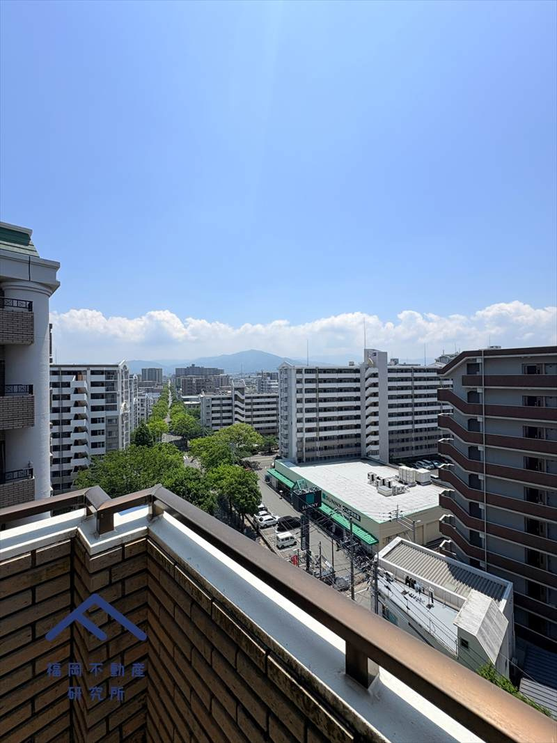 展望