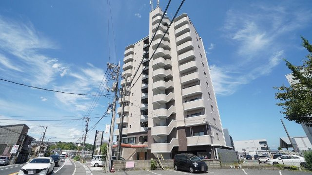 外観：334000261066