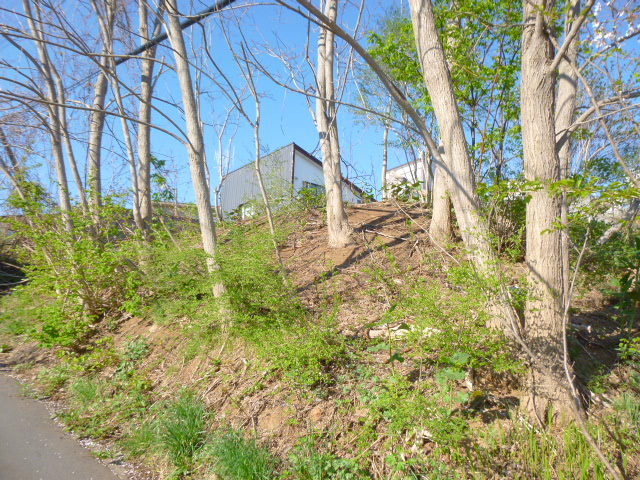 外観：301000102856