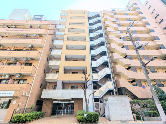 外観：313004697549