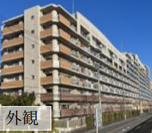 外観：313004546007