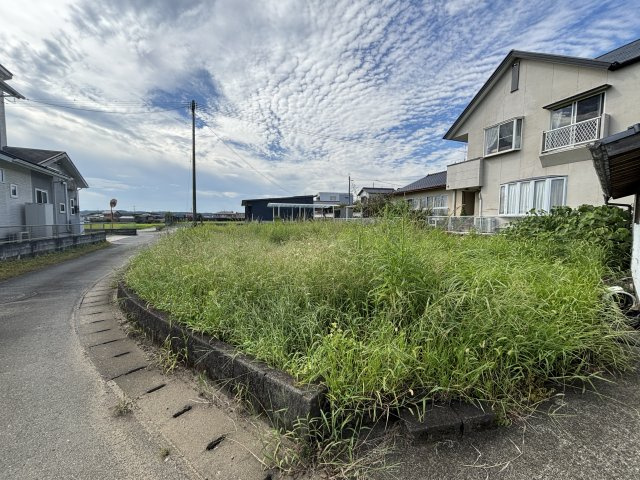 外観：343000087102