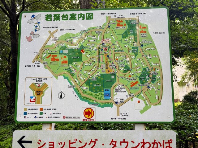 地図
