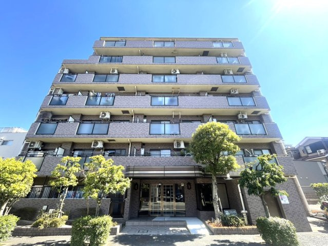 外観：313004663416