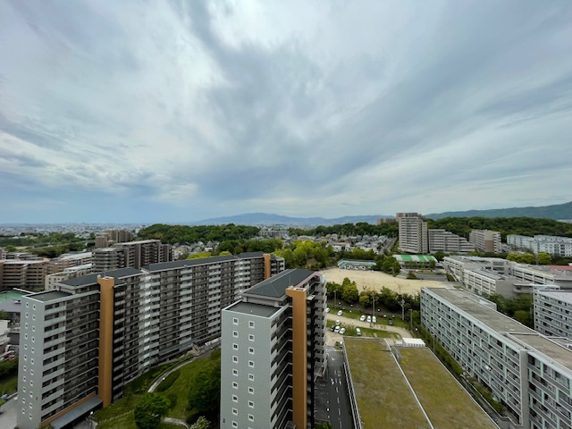 展望