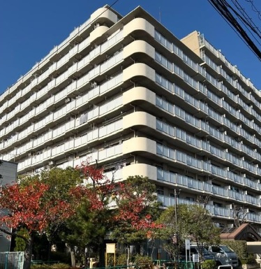 外観：313004691274