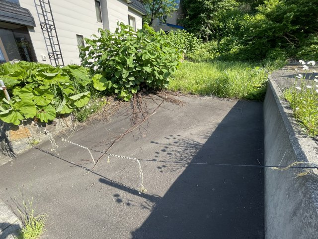 アスファルト部分