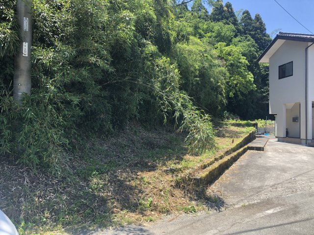 外観：343000048221