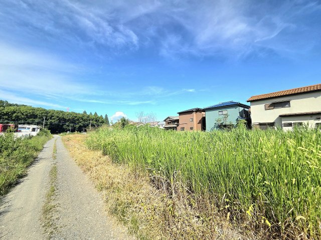 令和8年8月撮影