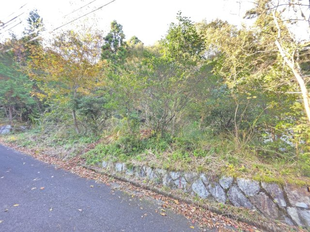 外観：325000114678