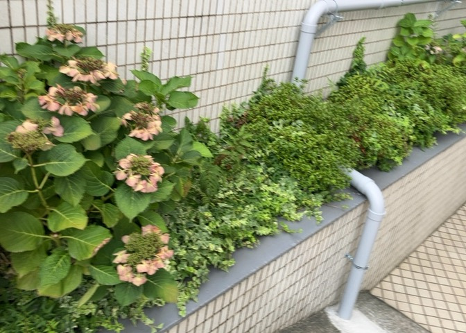 中庭（パティオ）とは、一つの建築物の内部に設けられた、壁などで囲われている庭のことを指します。コの字型、ロの字型が主流ですが、L字型の中庭もあります。最近では、インテリア性の高さからも人気があります。