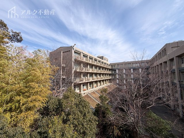 2026年2月撮影