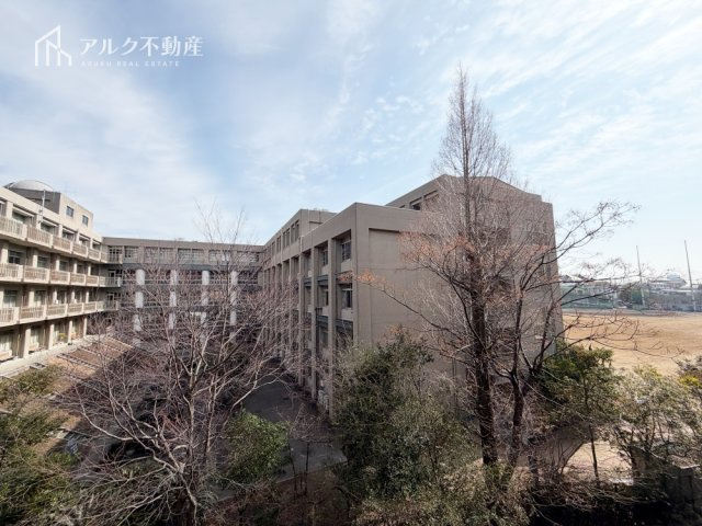 2026年2月撮影