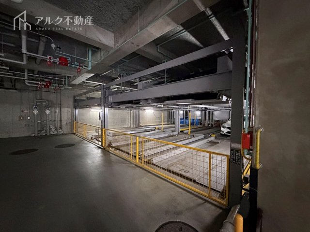 2026年2月撮影