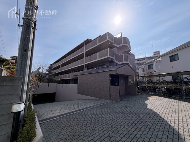 2026年2月撮影