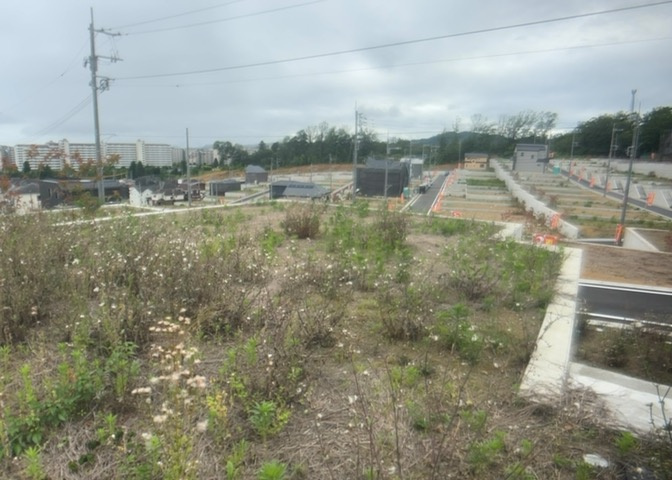 土地の前の道路に消火栓が設置されていることがあります。この場合、道路交通法第45条第1項により、駐車禁止の場所が指定されています。そのため、車庫などの駐車スペースをつくることができない場合があります。