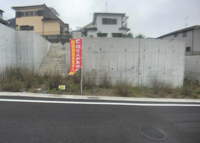外観：313004736216