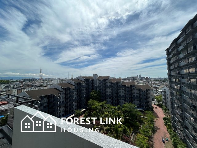 展望