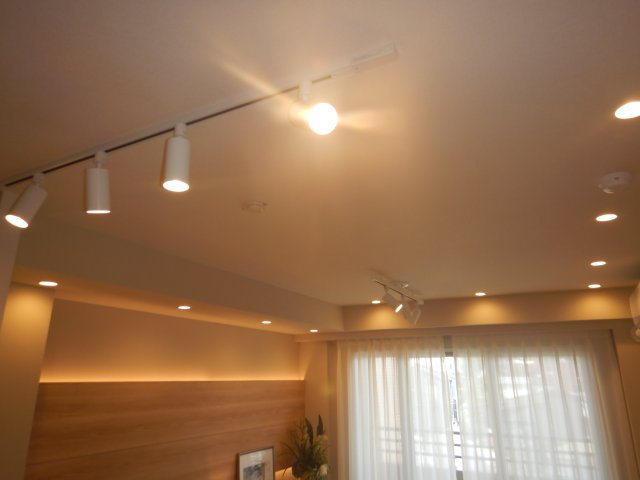 照明
