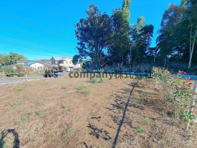 外観：314002184211