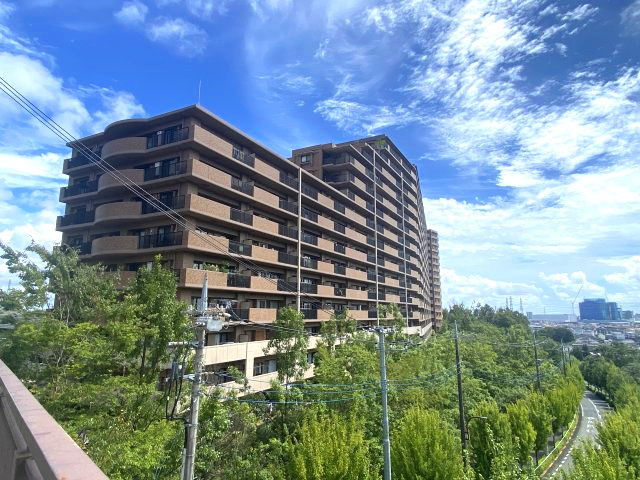 外観：313004384886