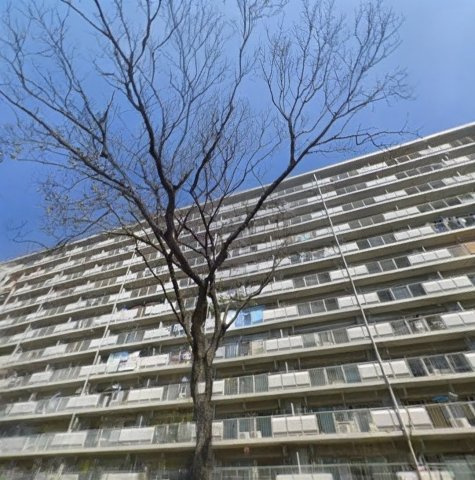 外観：312001177195