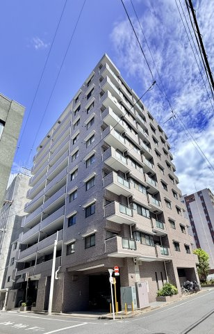 外観：313004844462