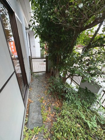 庭