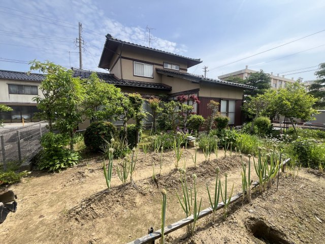 庭