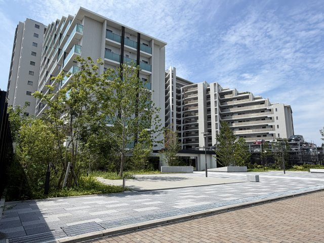 北側から撮影した写真です。