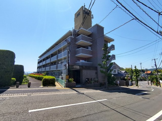 外観：334000246572