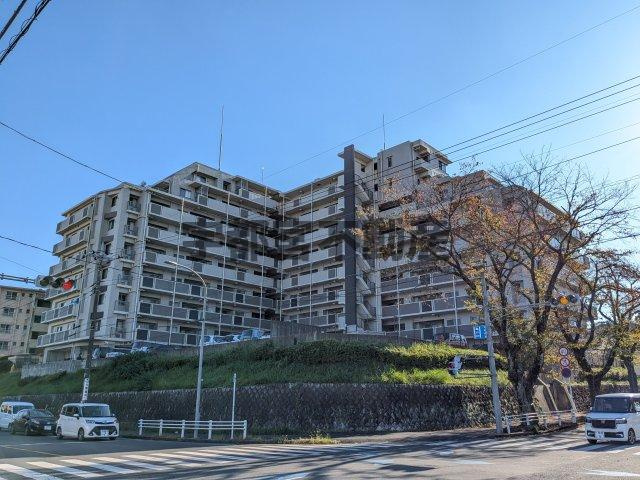 外観：309000101341