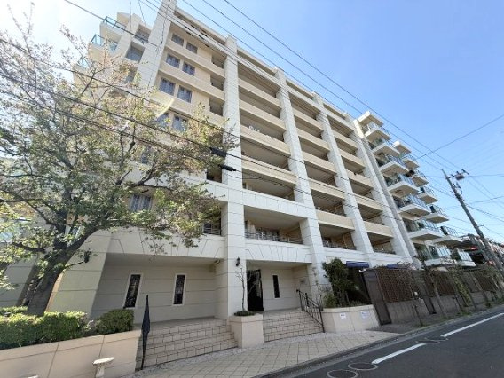 外観：313004699747