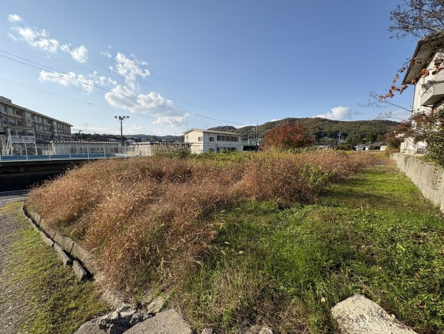 外観：334000231554