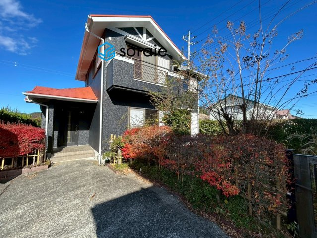 外観：311002354232