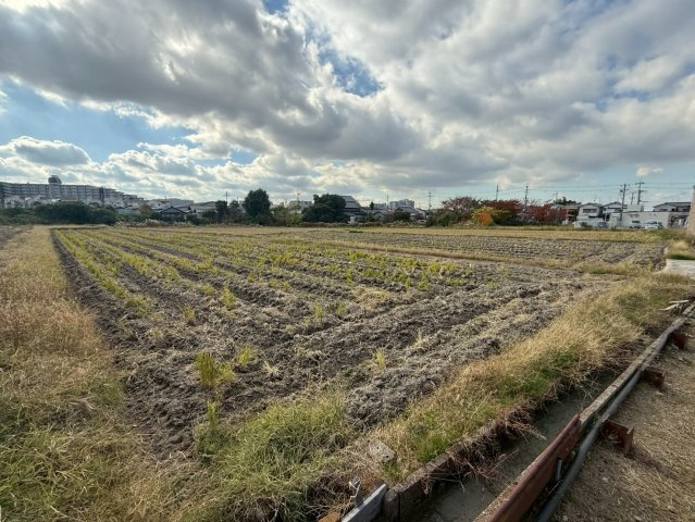 外観：327002231125