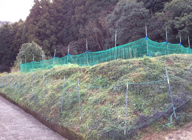 外観：330000084394