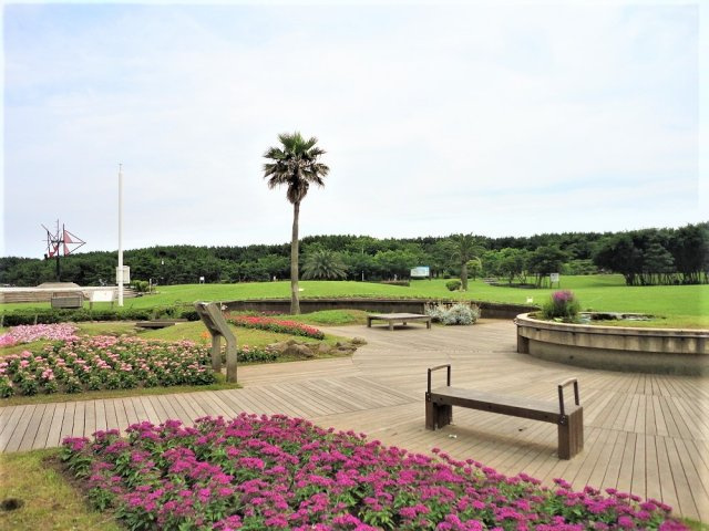 辻堂海浜公園：お子様はもちろん大人も楽しめます！