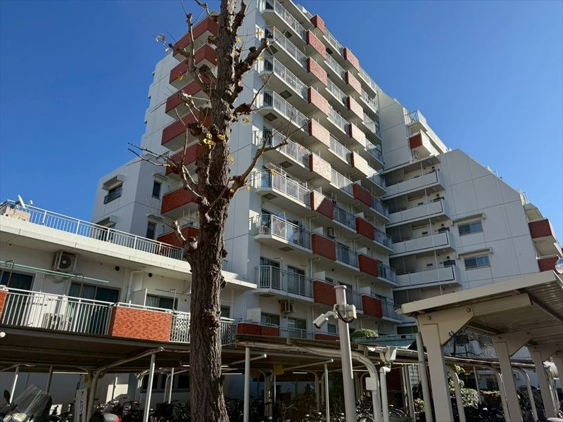 外観：313004654450