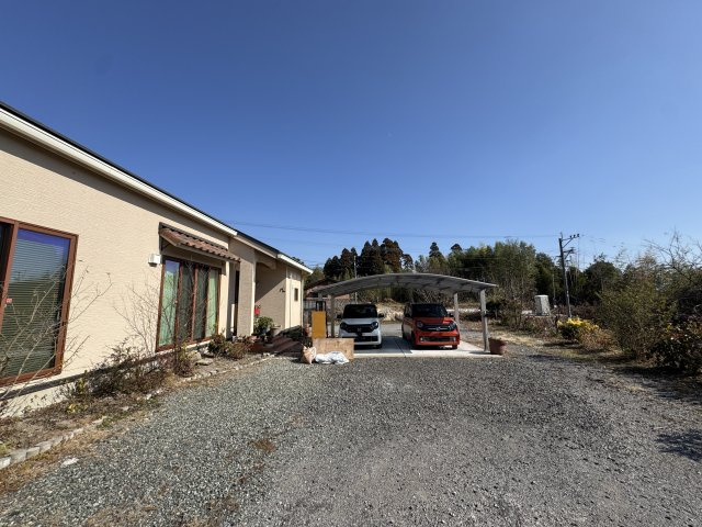 庭