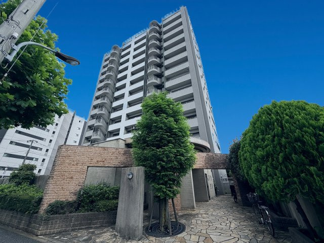 外観：313004814662