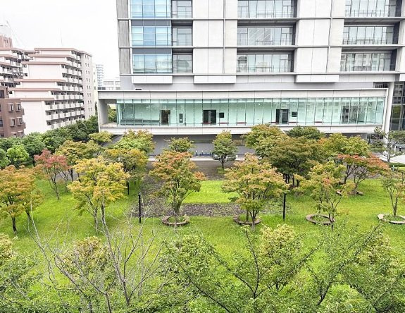 展望