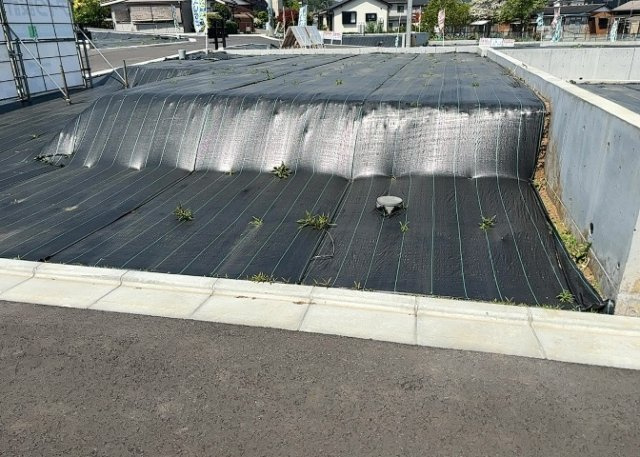 外観：313004303647