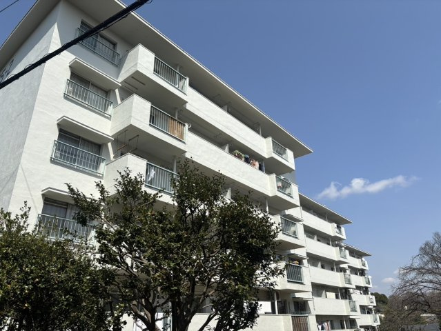 外観：313004540597