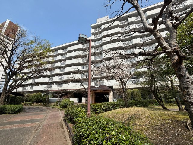 外観：313004872012