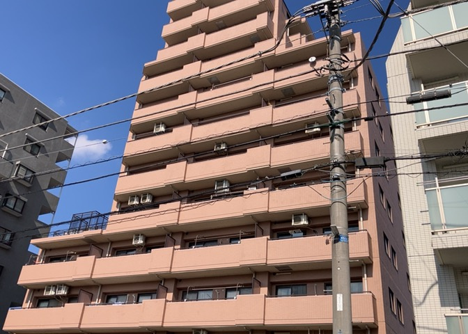 外観：313004623657